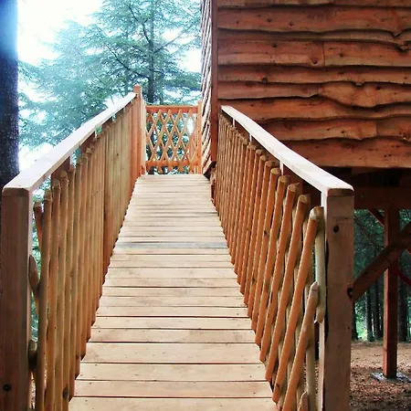 Chalet Cabane écureuil&cabane Chevreuil Fournes-Cabardes