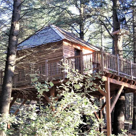Chalet Cabane écureuil&cabane Chevreuil