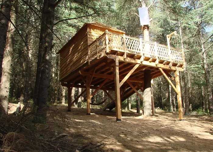 Cabane écureuil&cabane Chevreuil *
